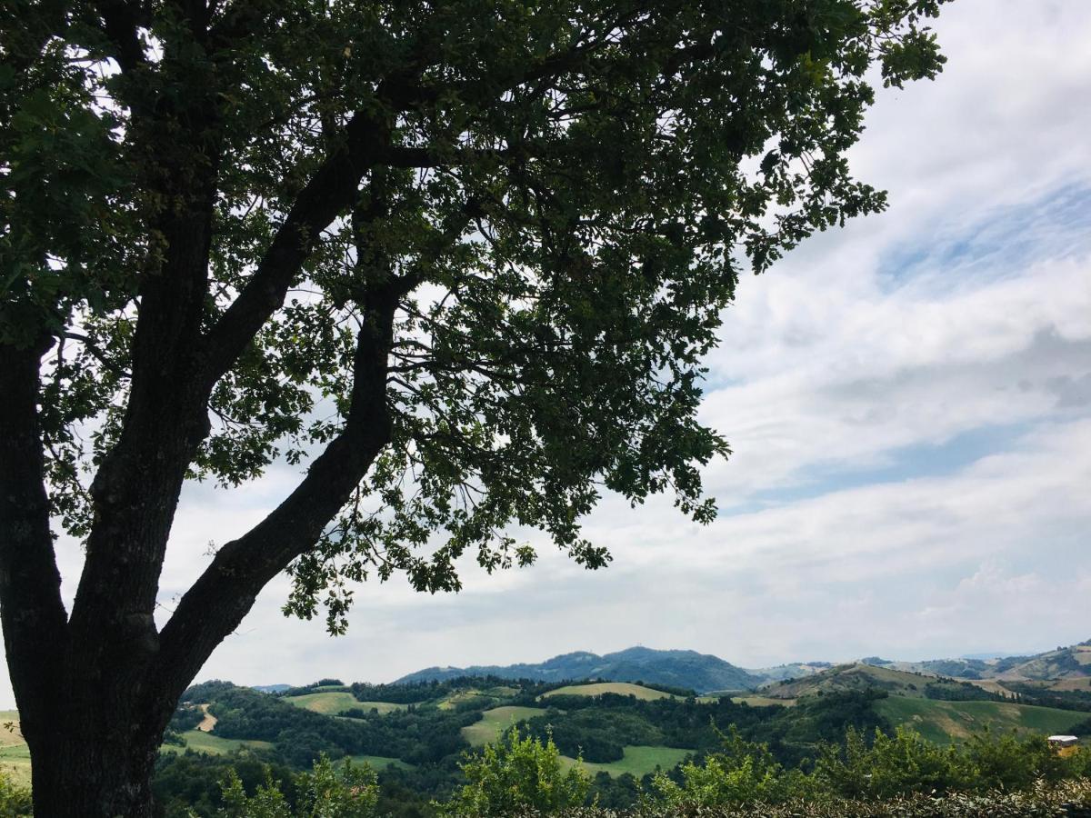 La Palazzina Di Ciagnano Villa Ozzano dell'Emilia Luaran gambar