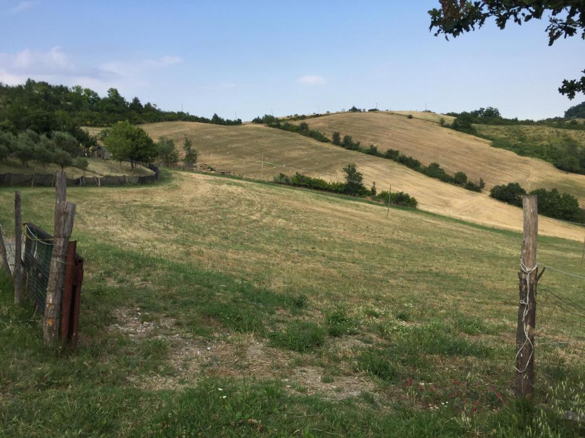 La Palazzina Di Ciagnano Villa Ozzano dell'Emilia Luaran gambar