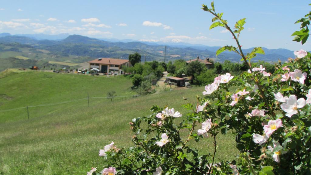 La Palazzina Di Ciagnano Villa Ozzano dell'Emilia Luaran gambar
